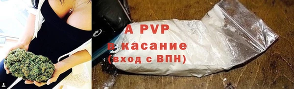 индика Армянск