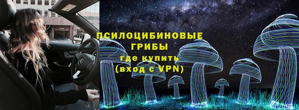 СК Арсеньев