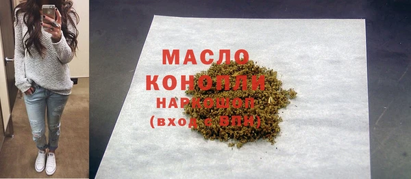индика Армянск
