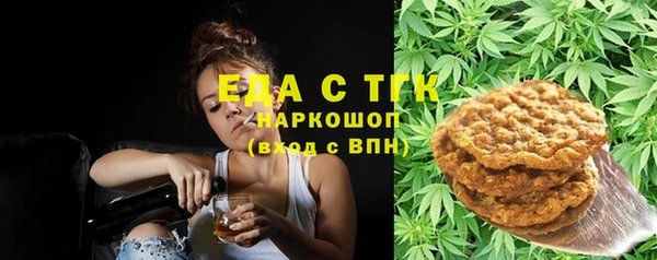 индика Армянск